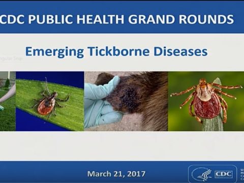 Emerging TIckborne Disease