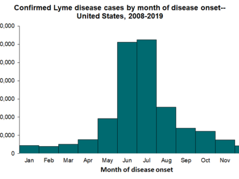 Lyme Disease Cases by Month